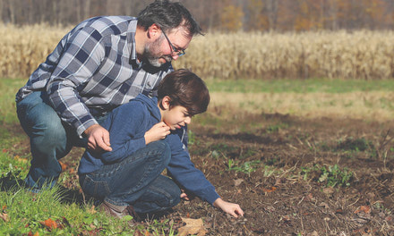 Banker turns market gardener, By Jeff Tribe